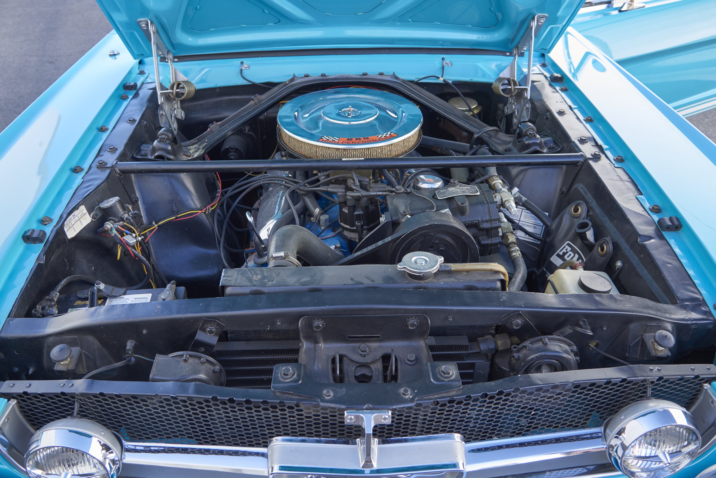 MUSTANG645VERT_052122_64.jpg