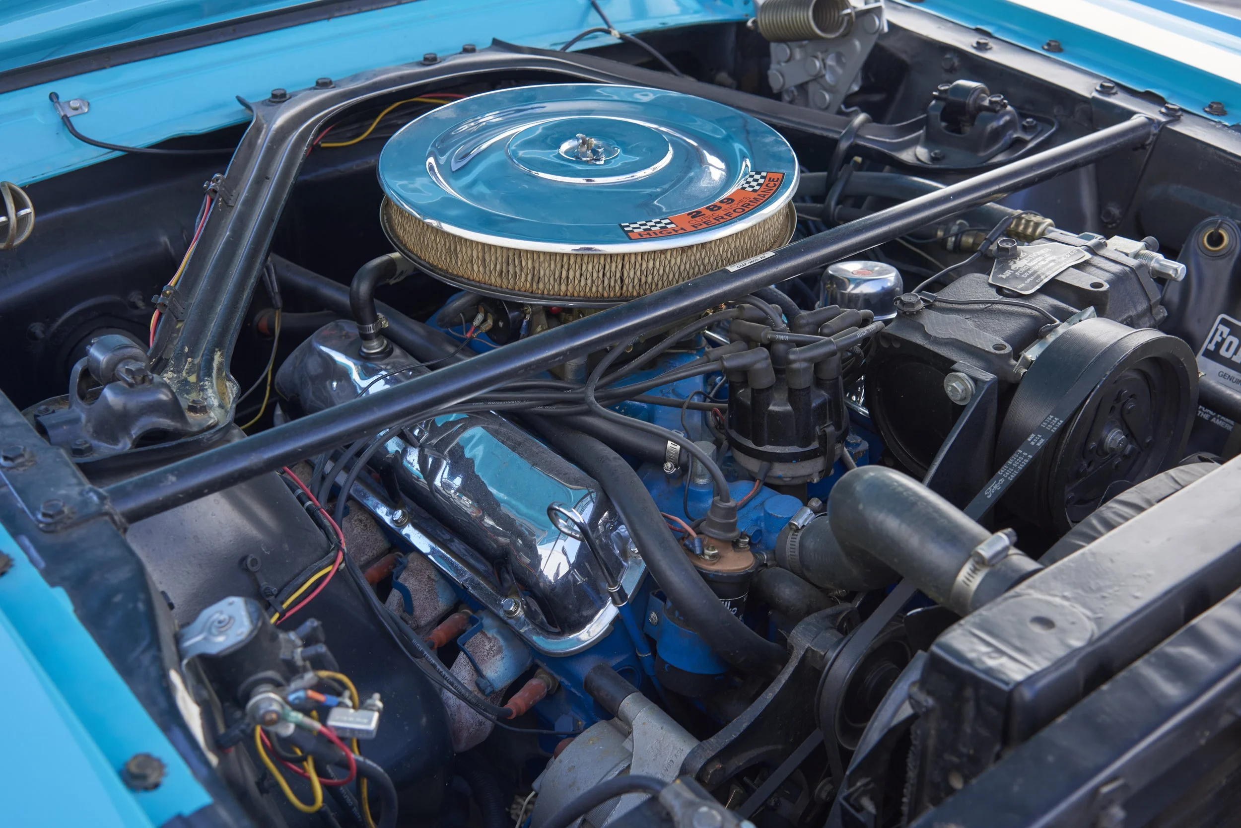 MUSTANG645VERT_052122_65.jpg