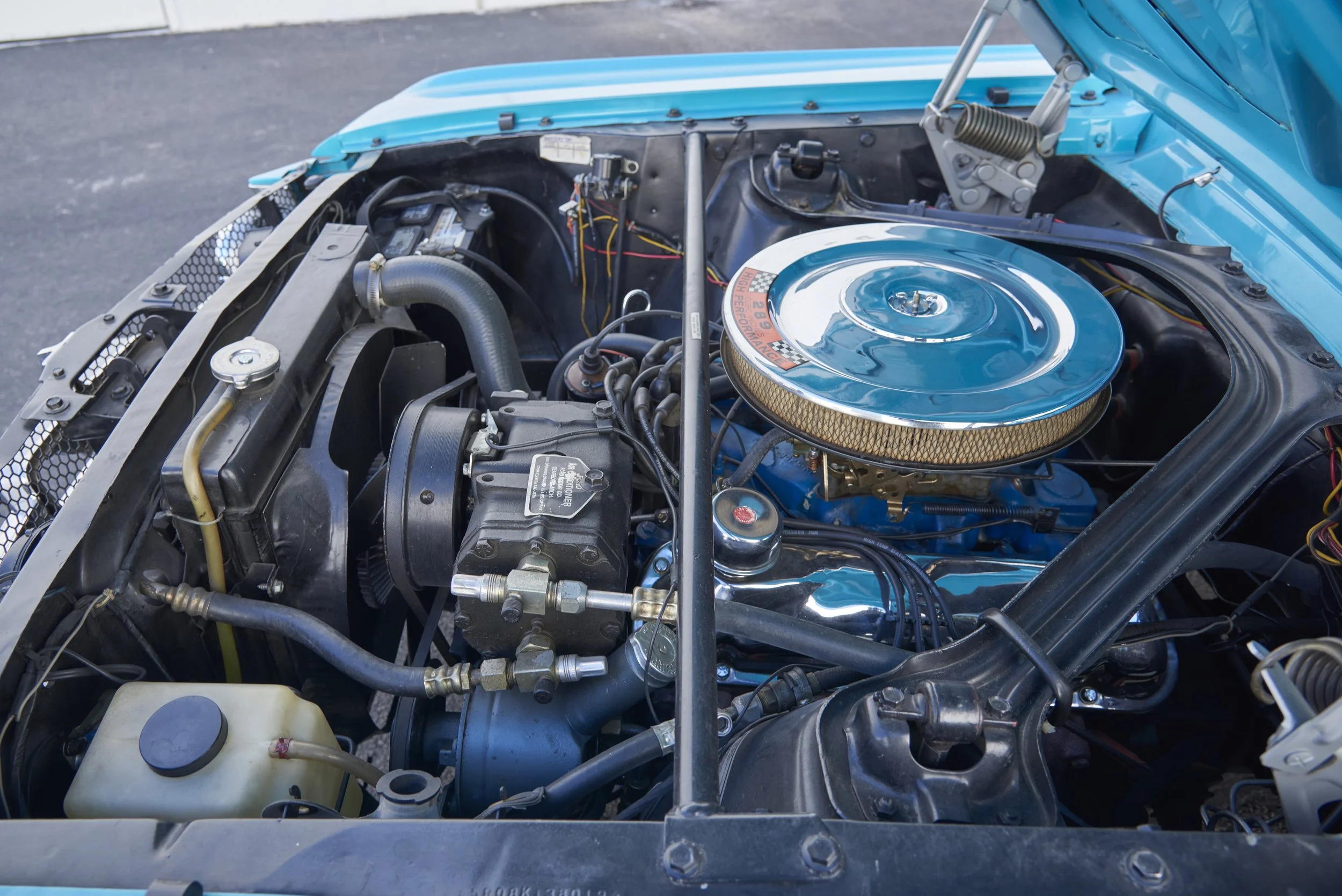 MUSTANG645VERT_052122_67.jpg