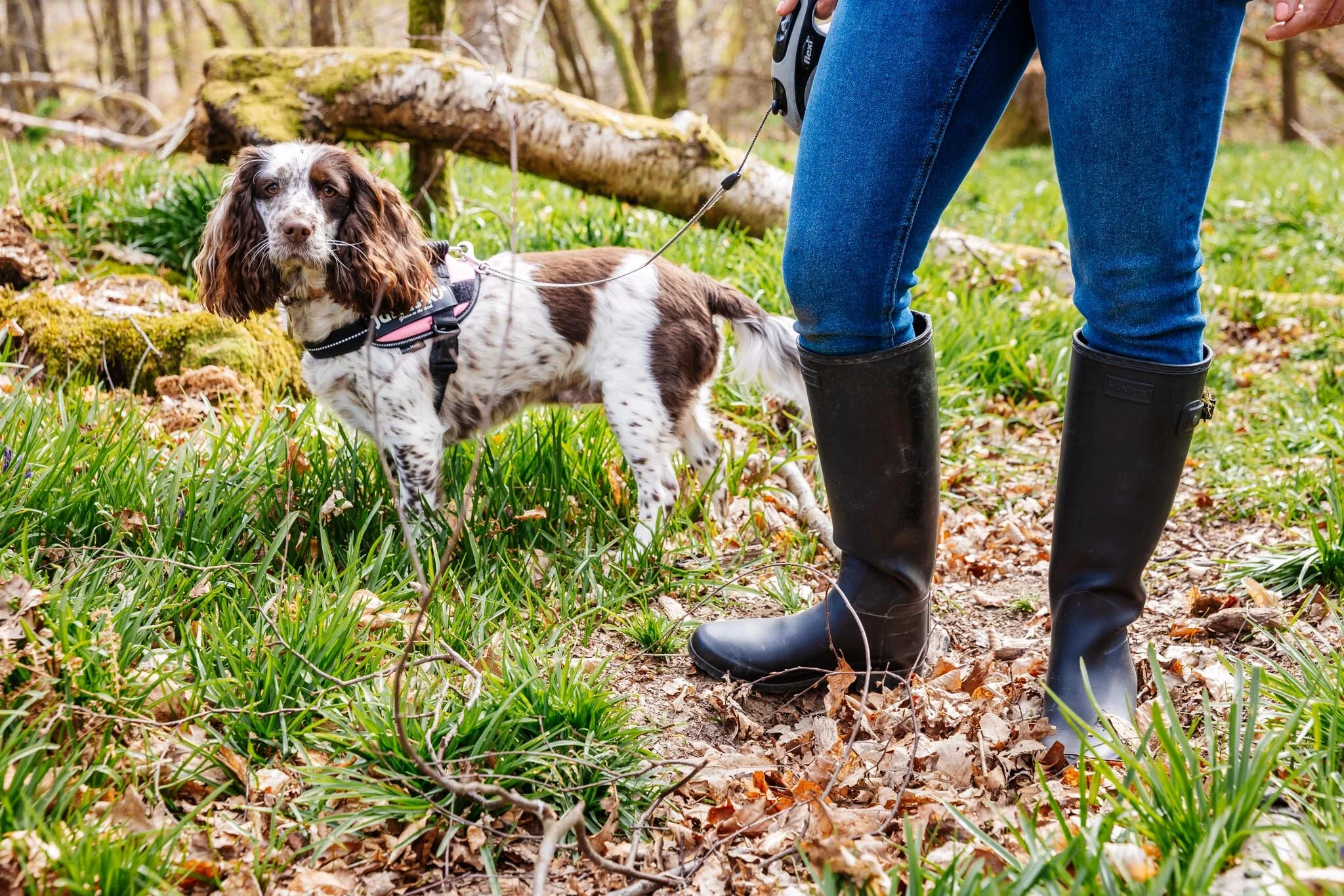 Willows Walkies by Laura Ellen Photography-121.jpg