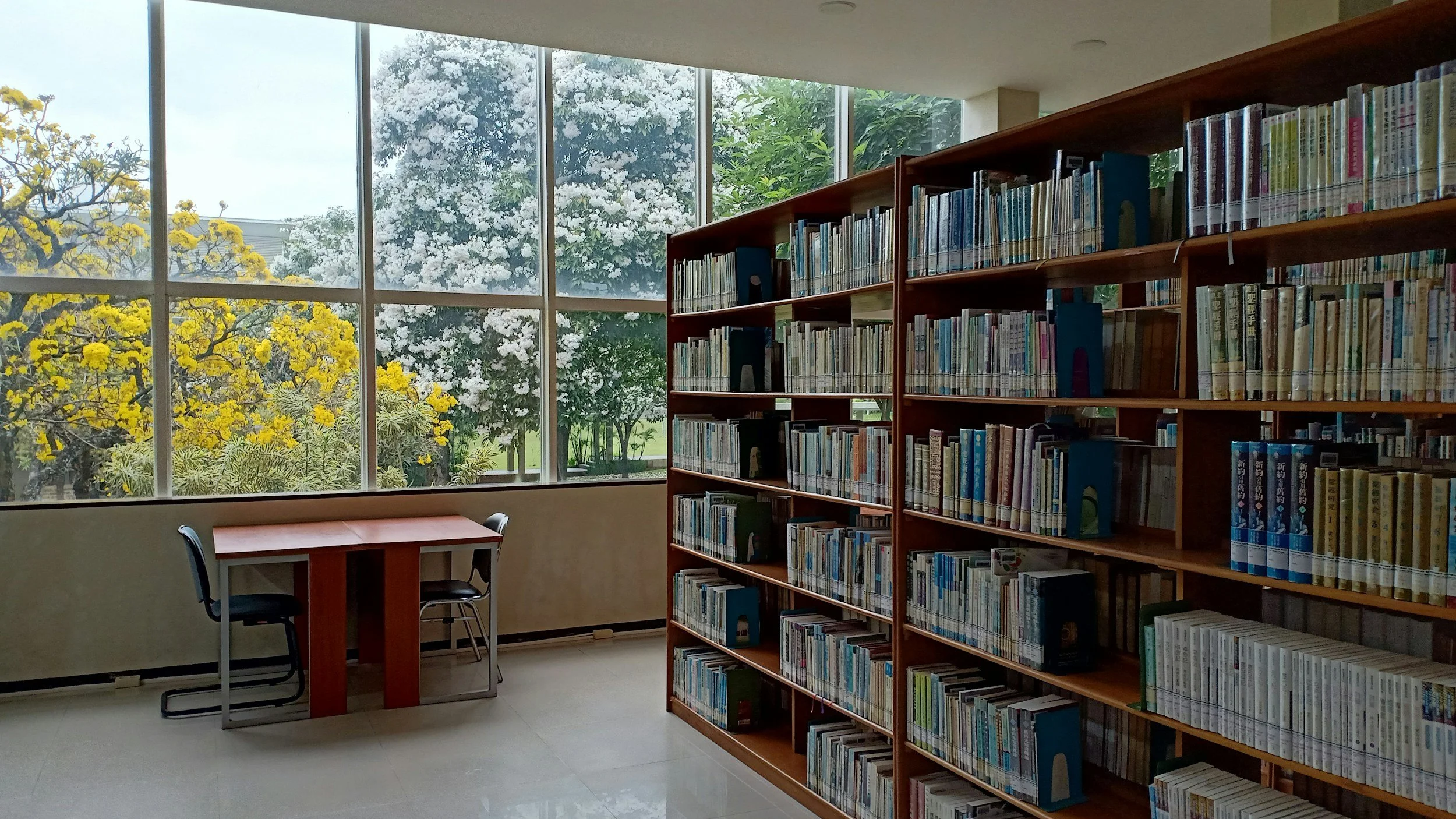 A quiet, sunlit library overlooking trees, representing access to knowledge, learning and opportunity.