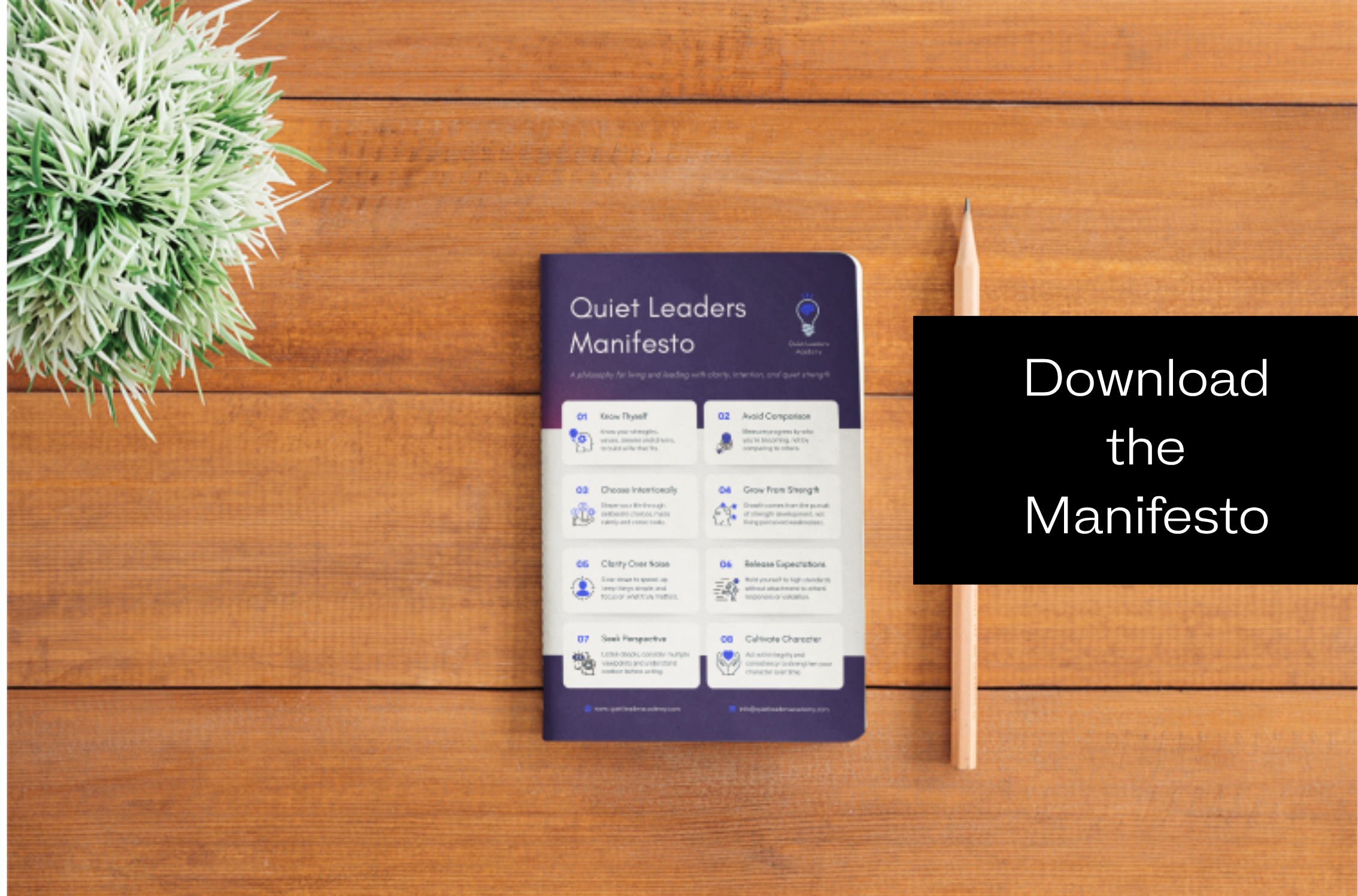 Click here to download the manifesto
