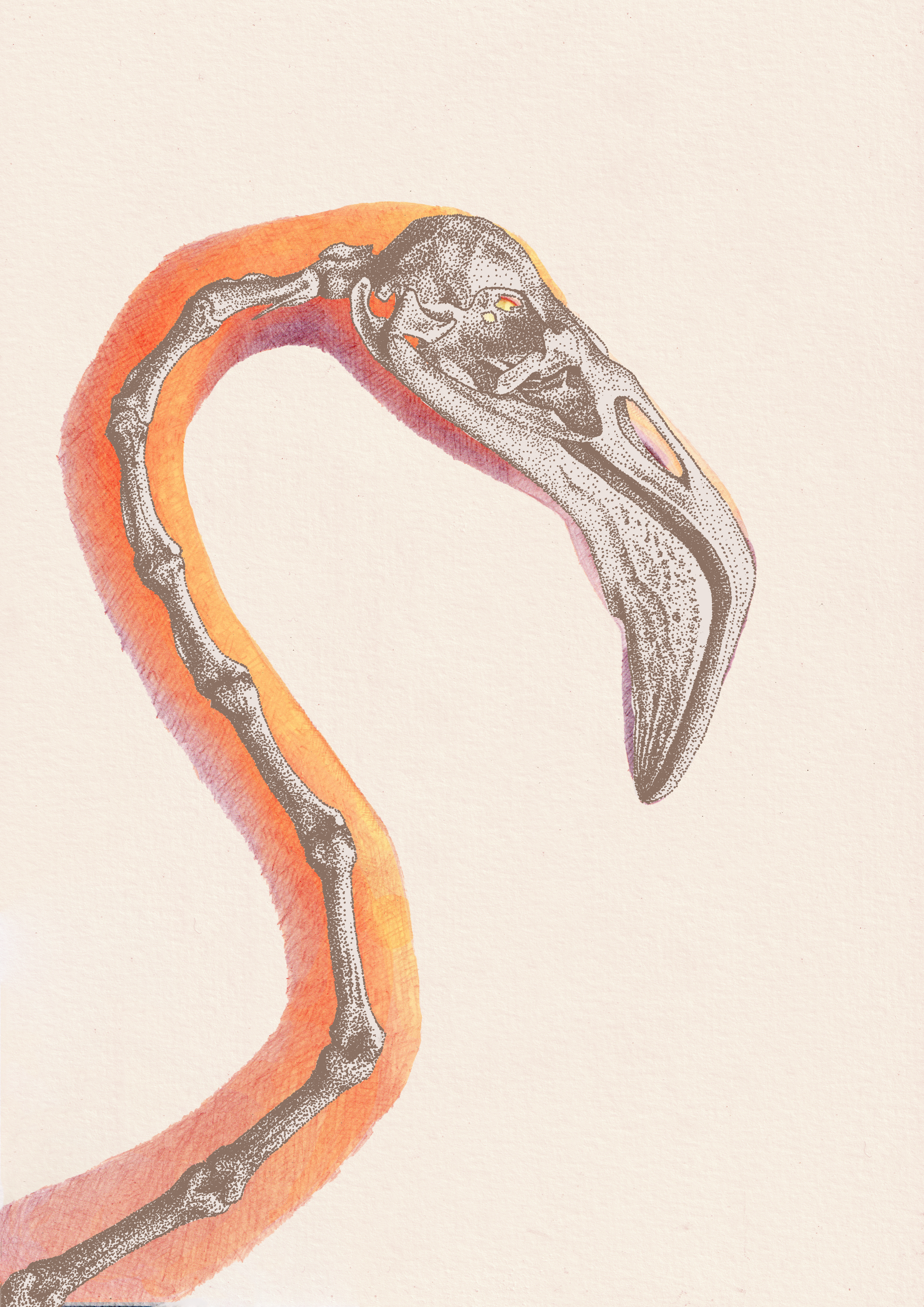 Flamingo background 3.png