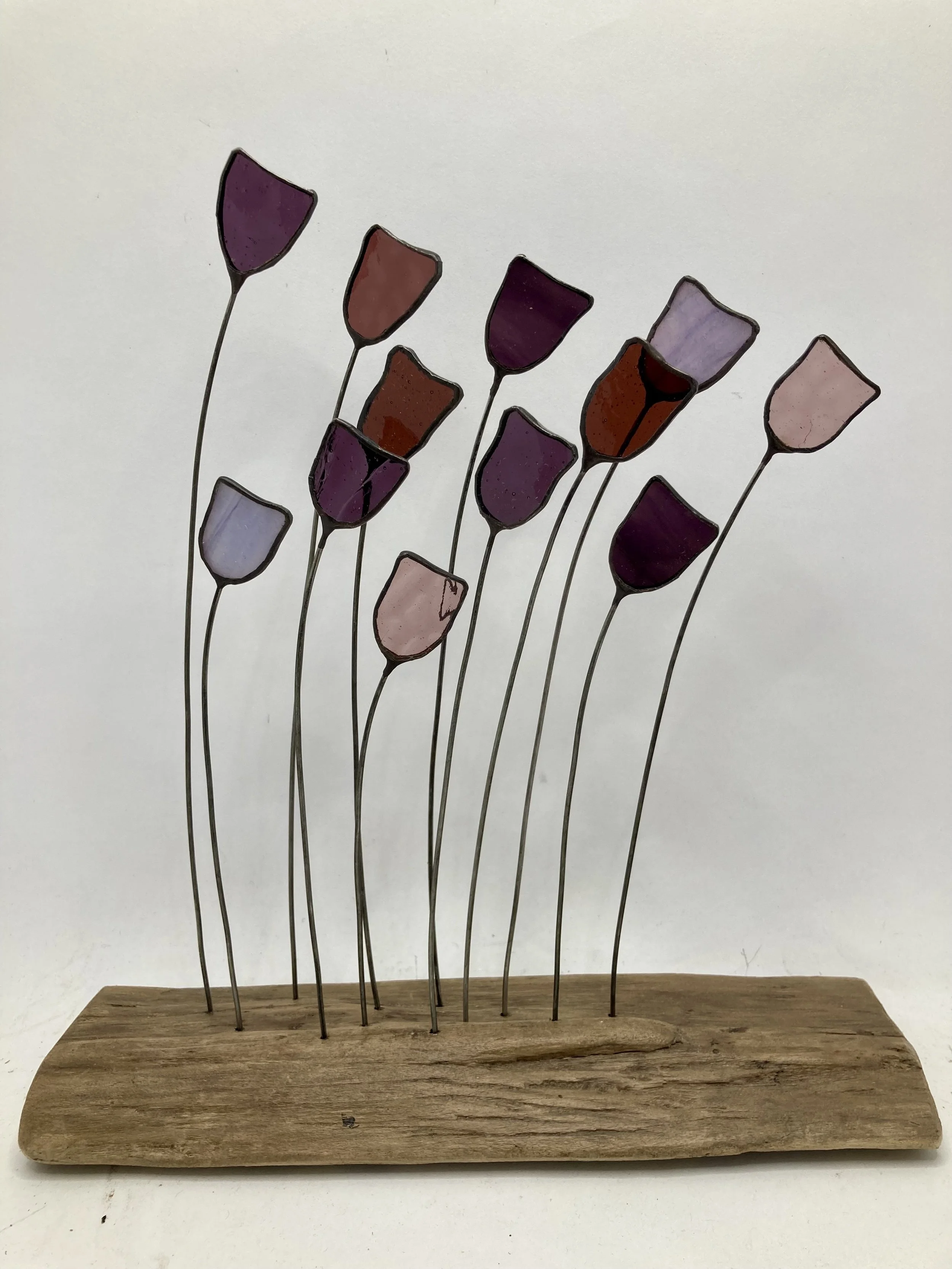 Purple Poppies on Driftwood