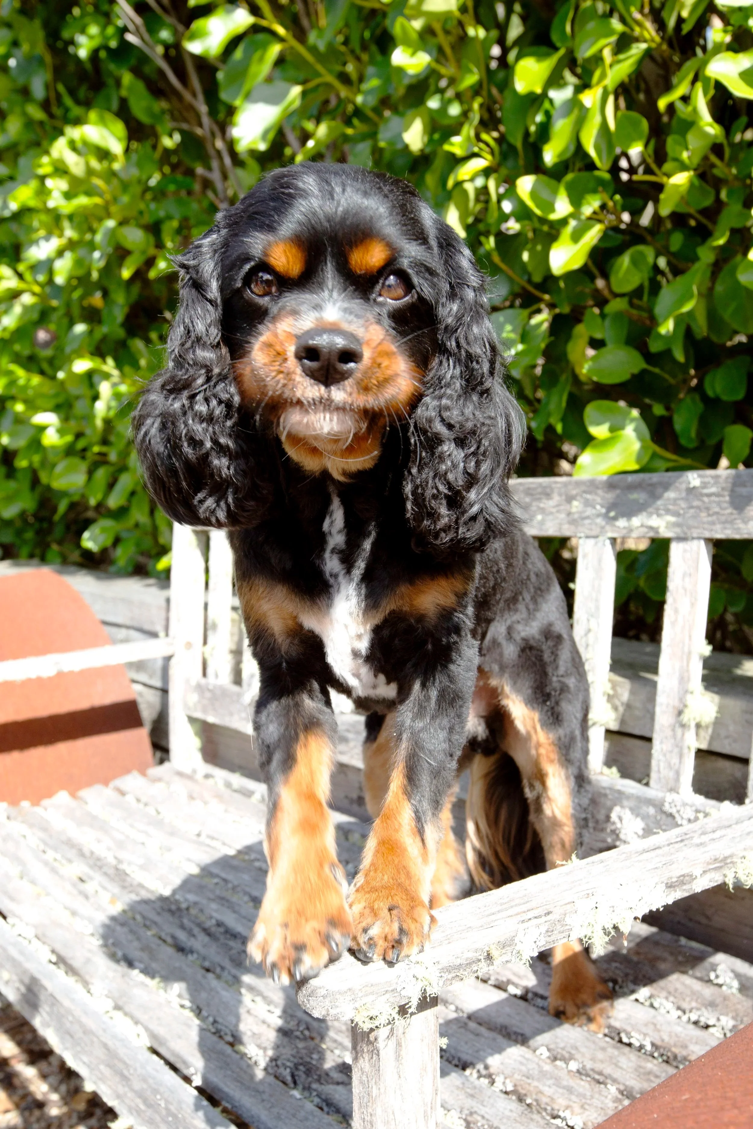 lucy%26co00113.jpg