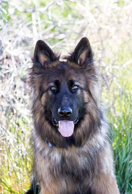 murphy_7107.jpg
