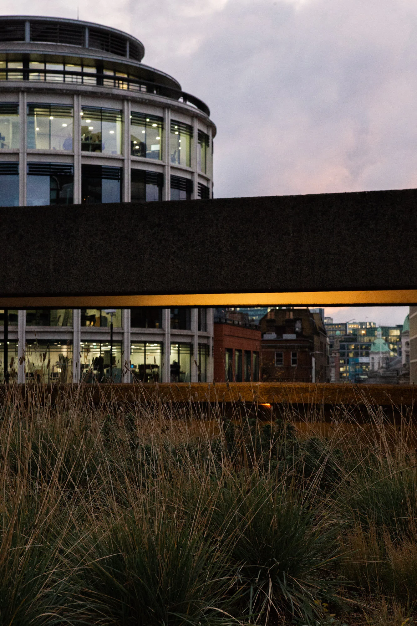 Toby Nima Web Gallery33.jpg