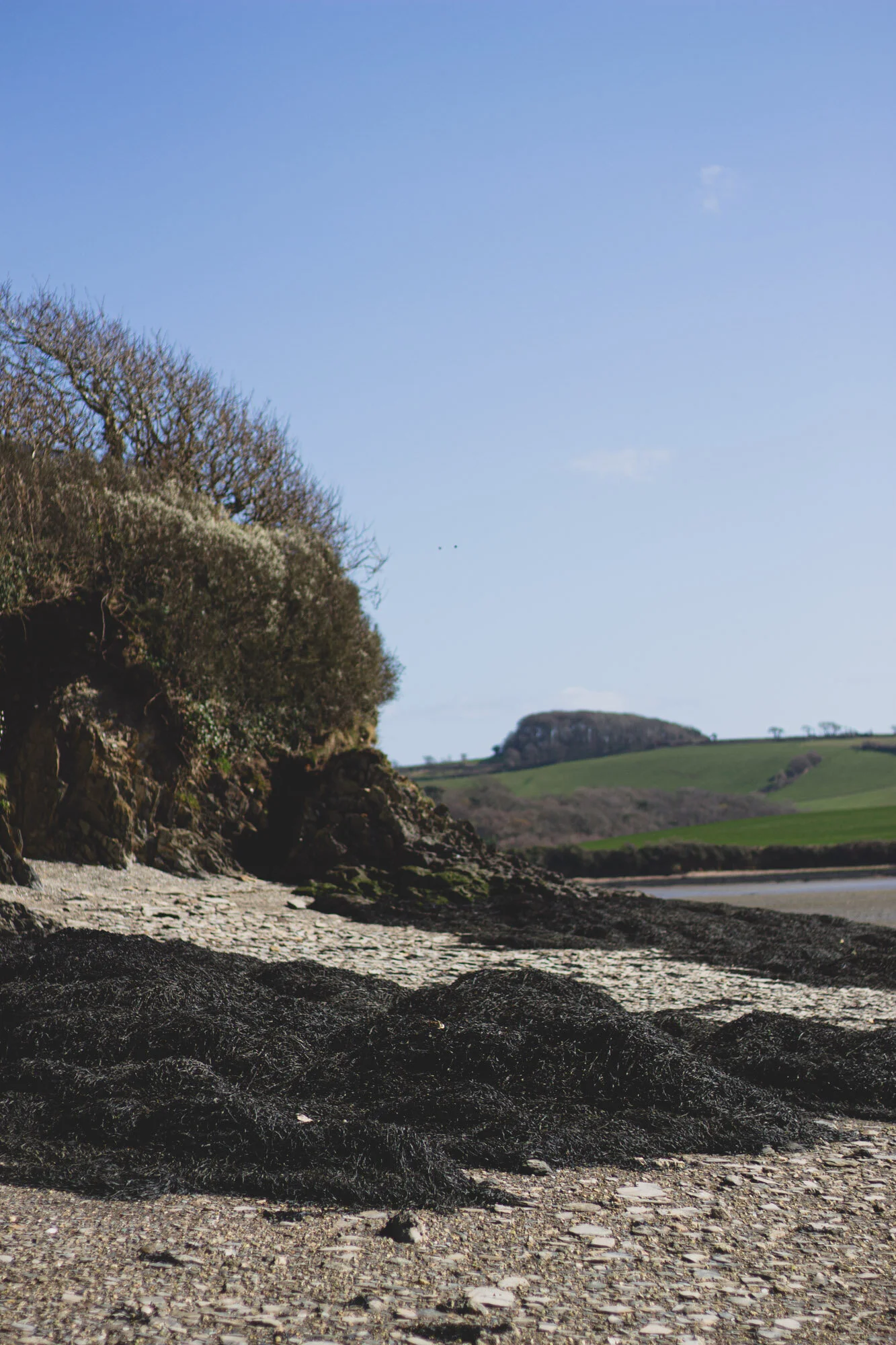 Toby Nima Web Gallery38.jpg