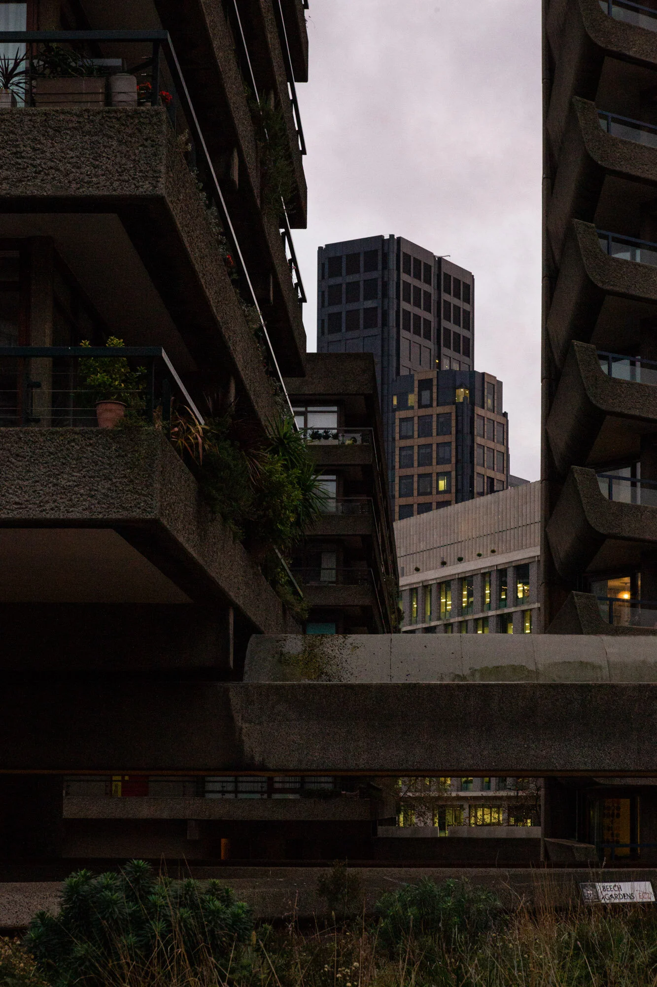 Toby Nima Web Gallery32.jpg