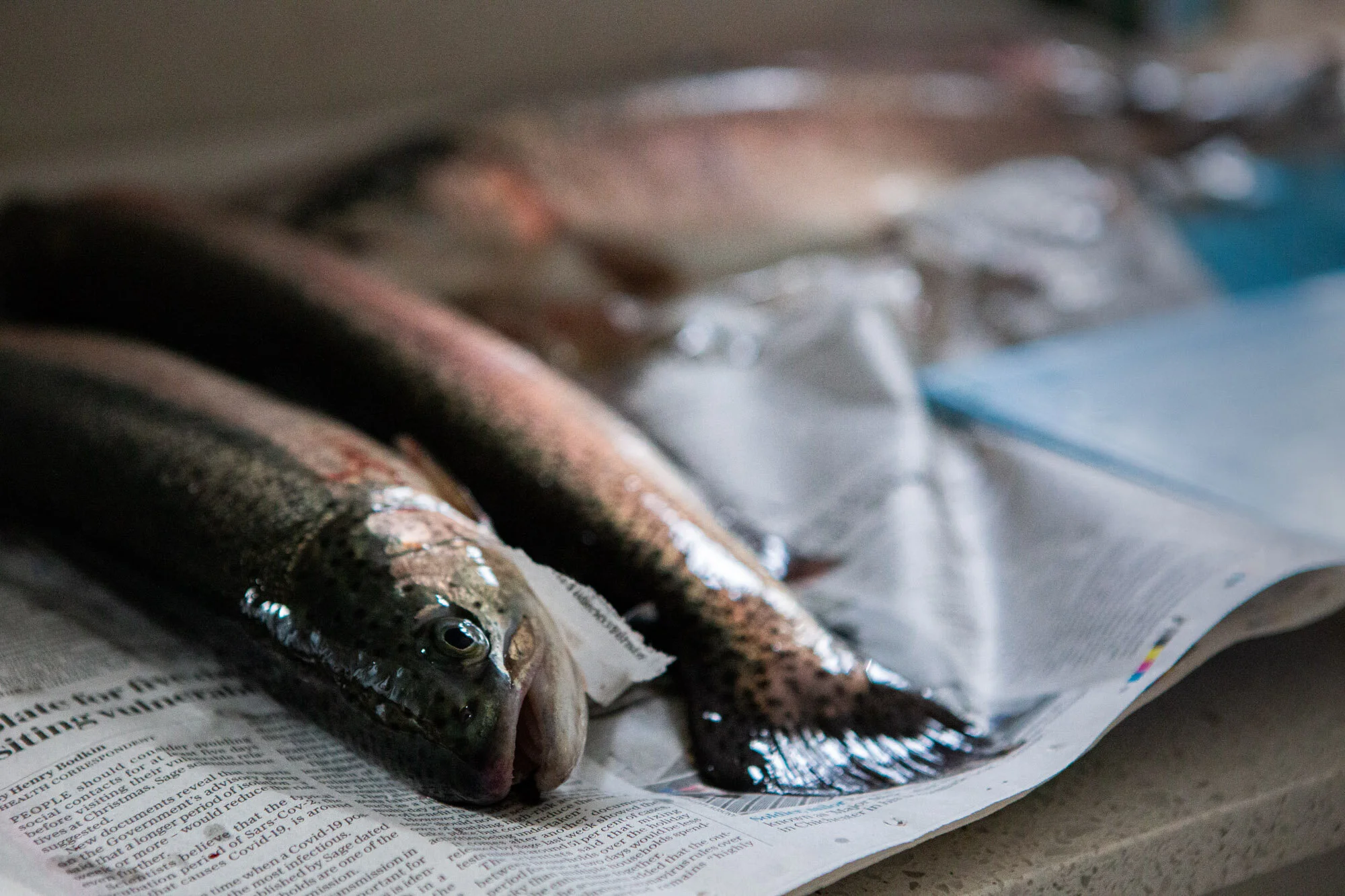 Toby Nima Web Gallery42.jpg