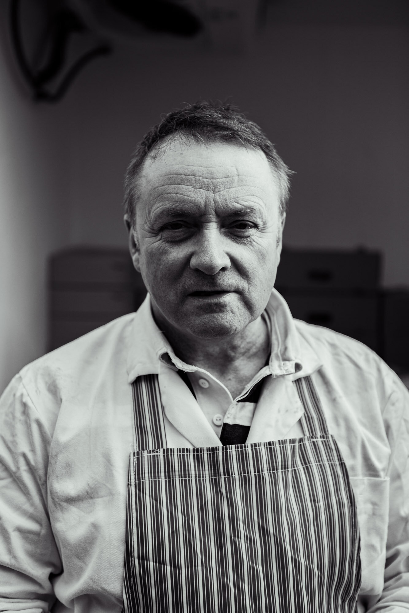 Toby Nima Web Gallery17.jpg