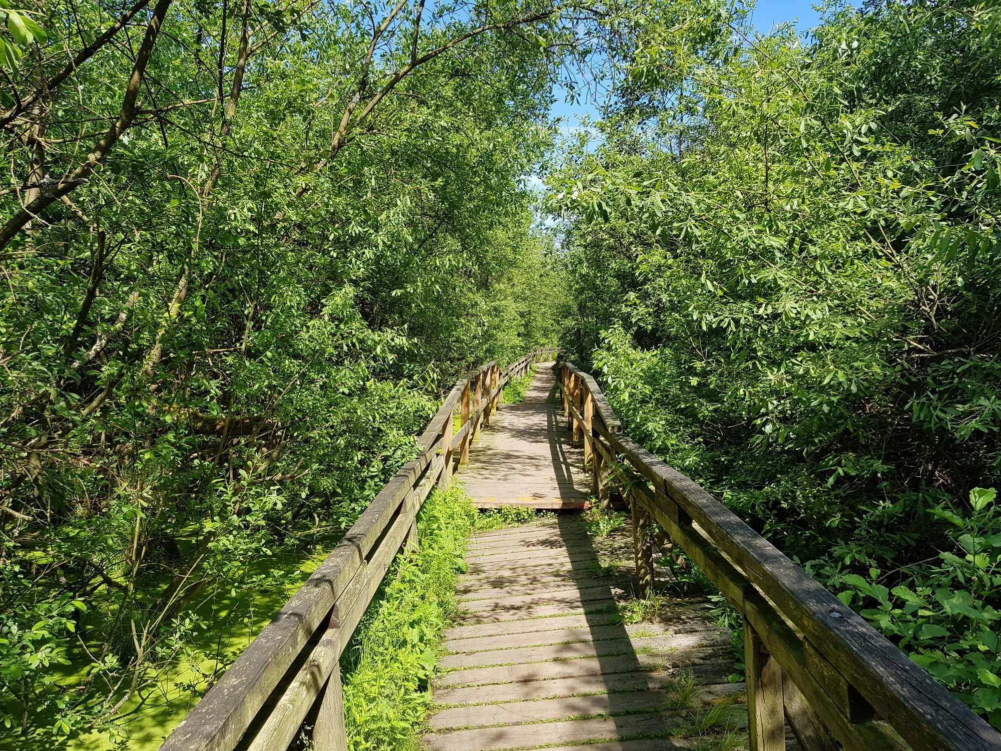 0?width=2000.7.jpg