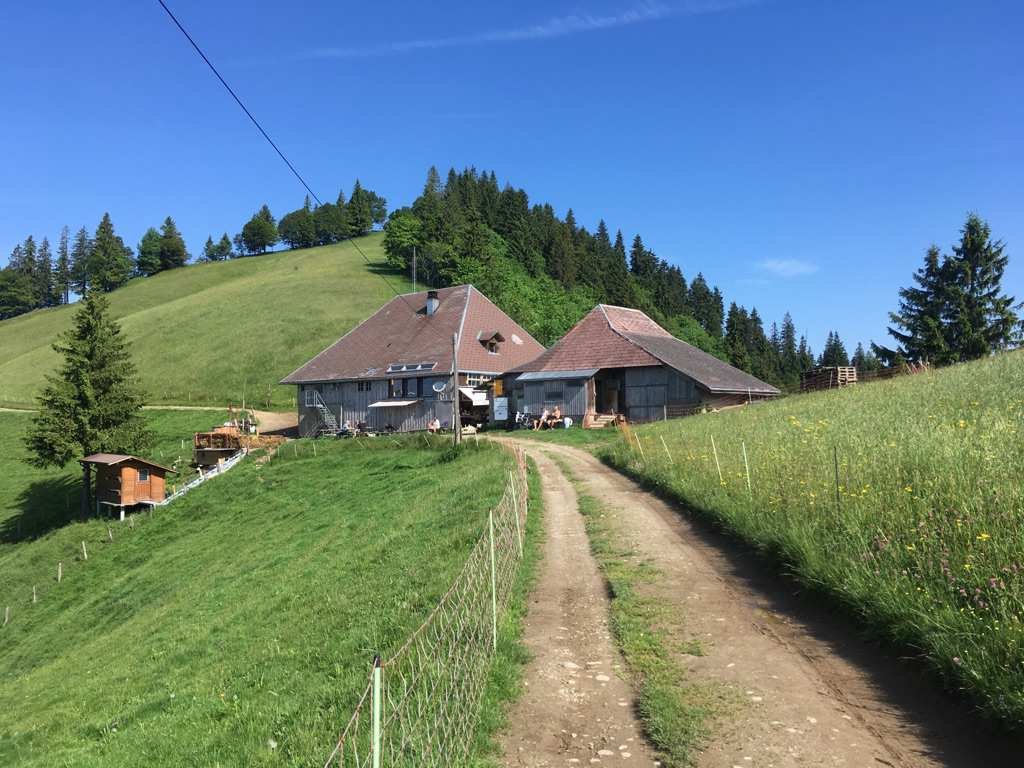 100% Women: Gravel-Highlights für Abenteurerinnen_tour_11.jpg