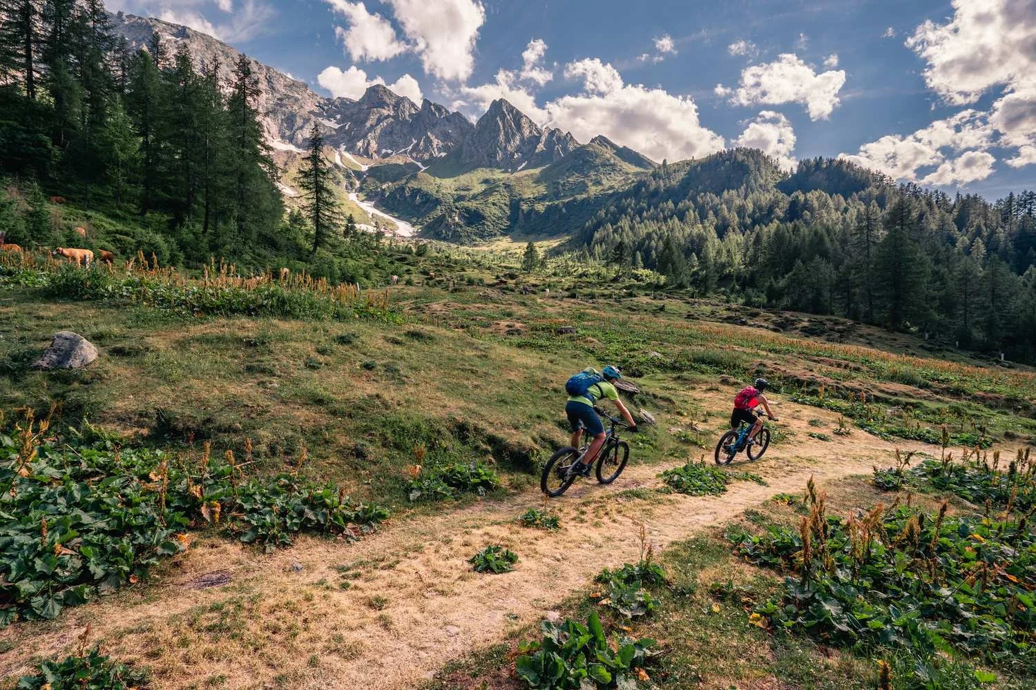100% Women: Gravel-Highlights für Abenteurerinnen_tour_1.jpg