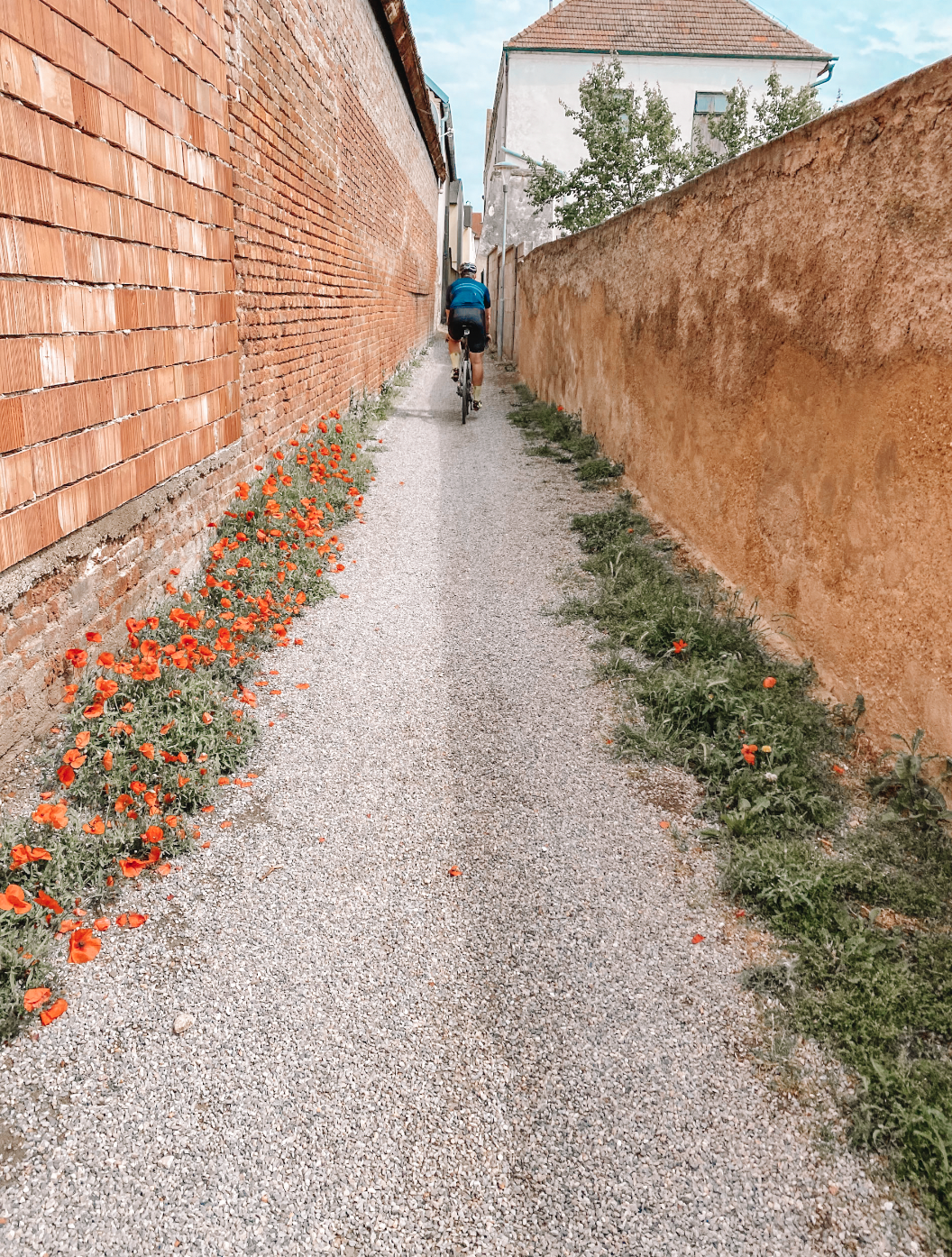 Gravel Vienna_tour_9.jpg