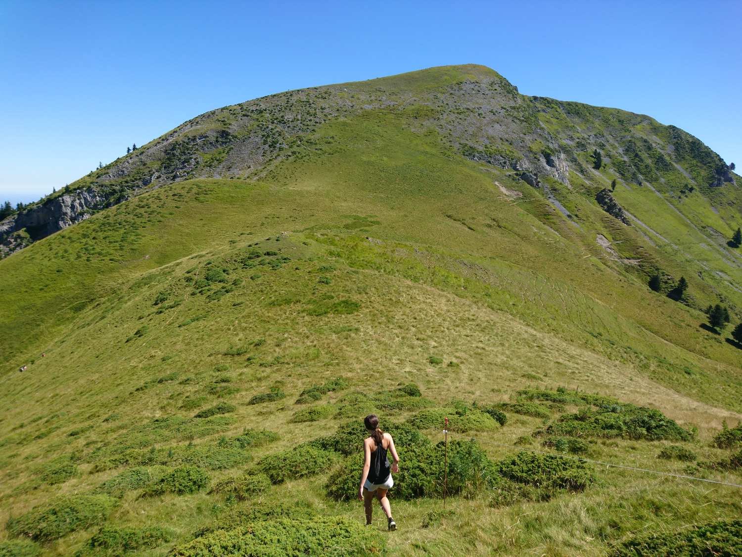 Dans les Hautes Pyrénées_tour_11.jpg