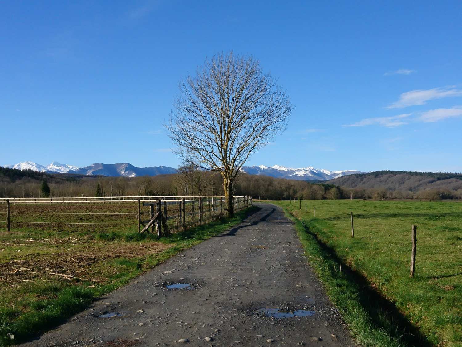 Dans les Hautes Pyrénées_tour_6.jpg