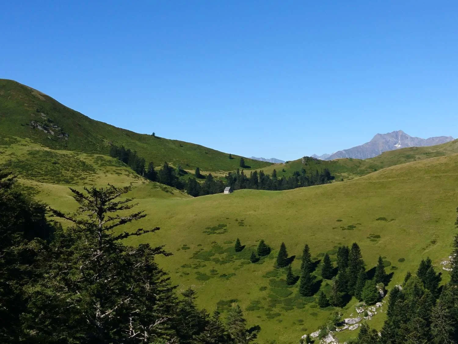 Dans les Hautes Pyrénées_tour_9.jpg