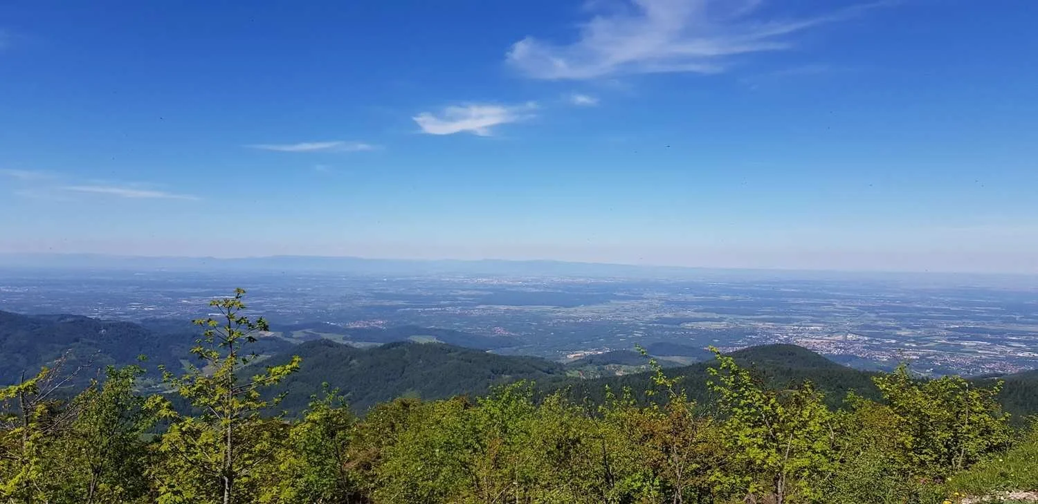 Gravelgenuss_im_Schwarzwald_tour_1.jpg