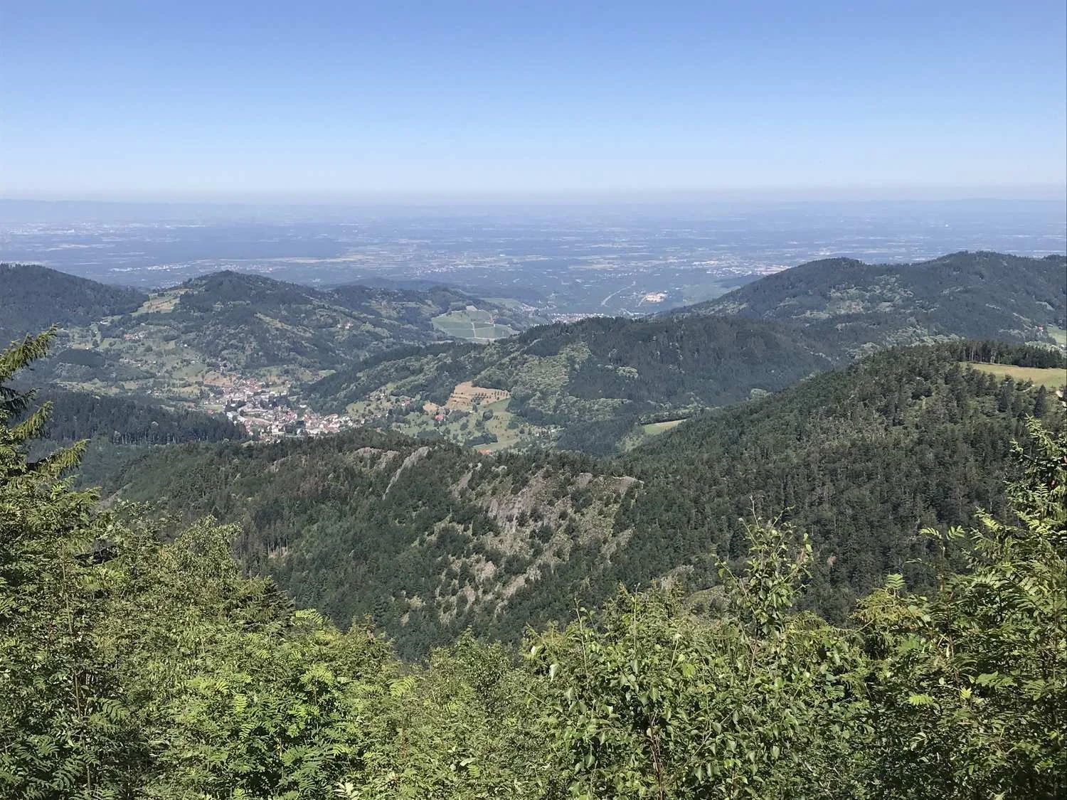 Gravelgenuss_im_Schwarzwald_tour_2.jpg