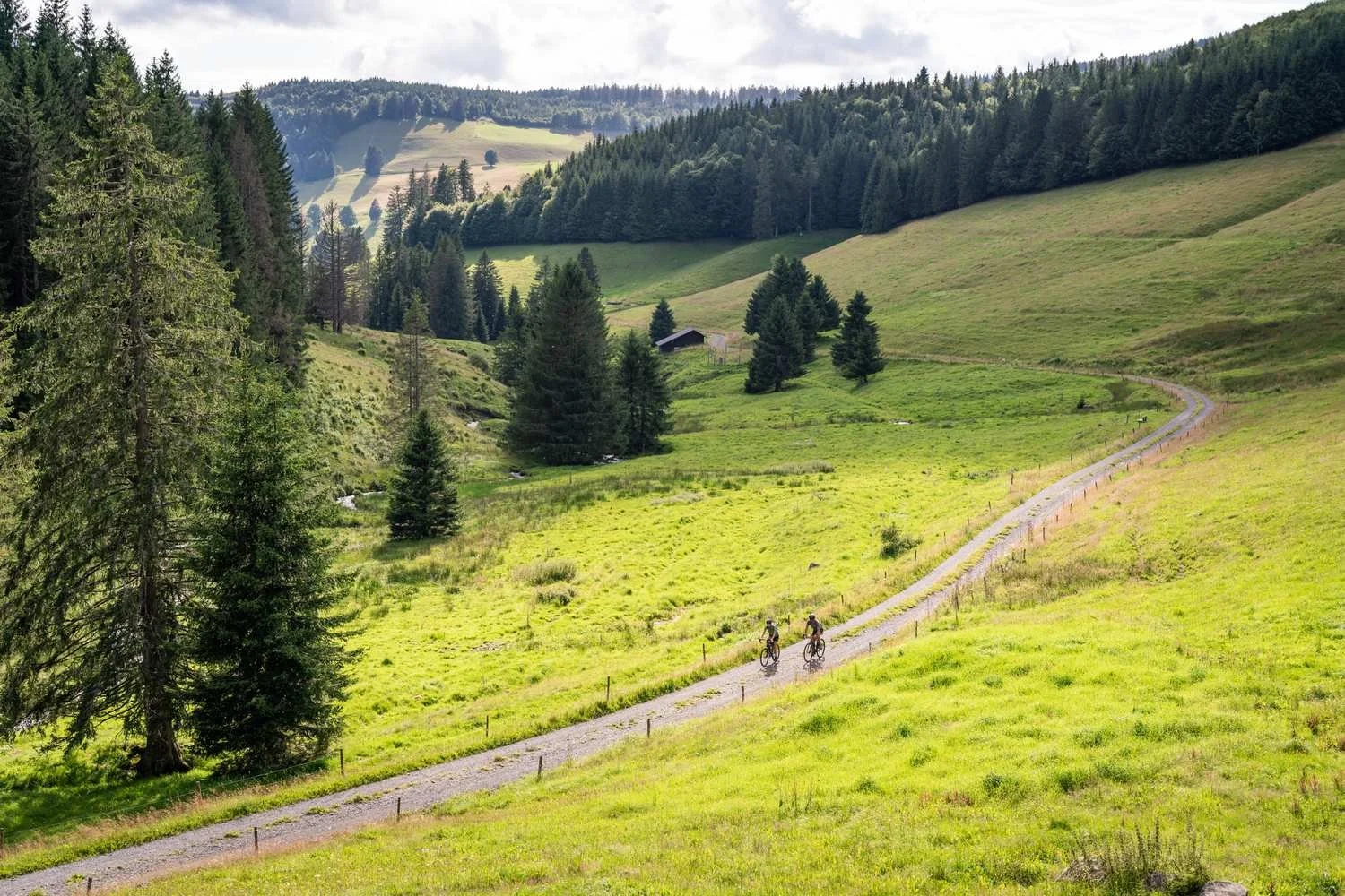 Gravelgenuss_im_Schwarzwald_tour_3.jpg