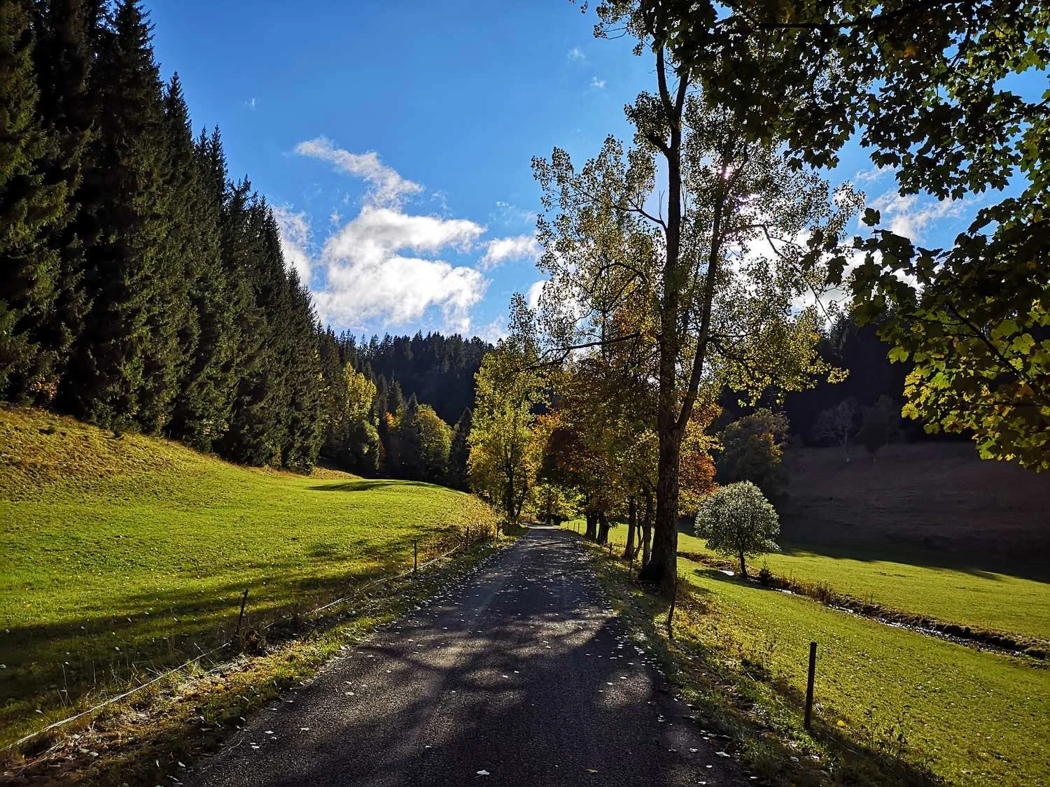 Gravelgenuss_im_Schwarzwald_tour_10.jpg