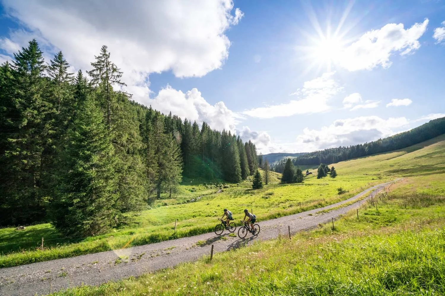 Gravelgenuss_im_Schwarzwald_tour_11.jpg