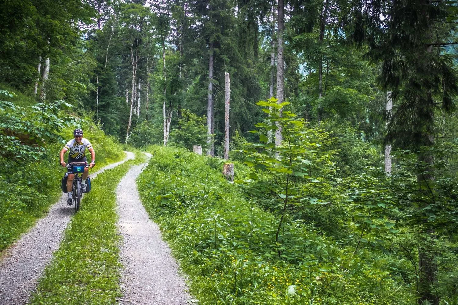 Gravelgenuss_im_Schwarzwald_tour_12.jpg