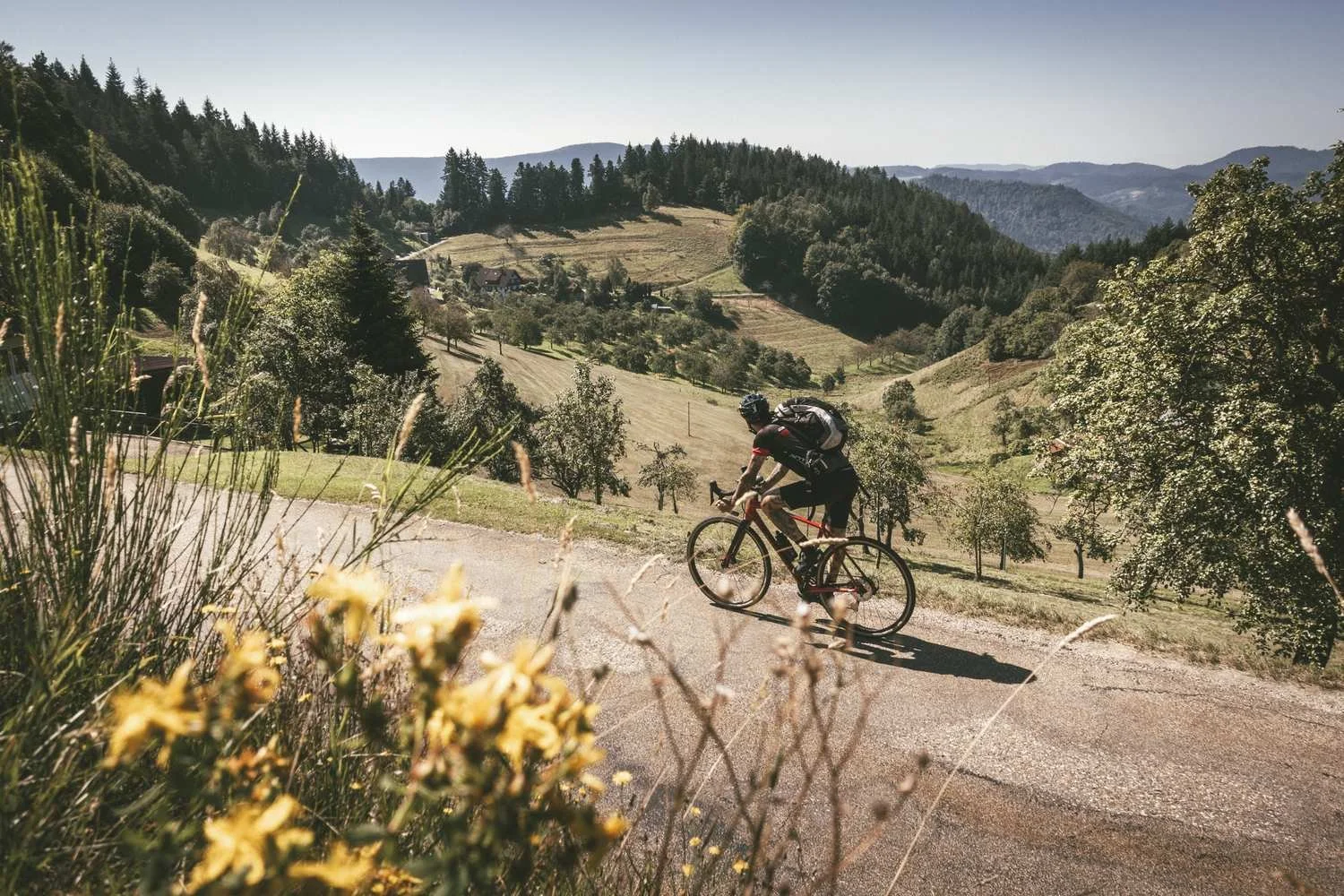 Gravelgenuss_im_Schwarzwald_tour_14.jpg