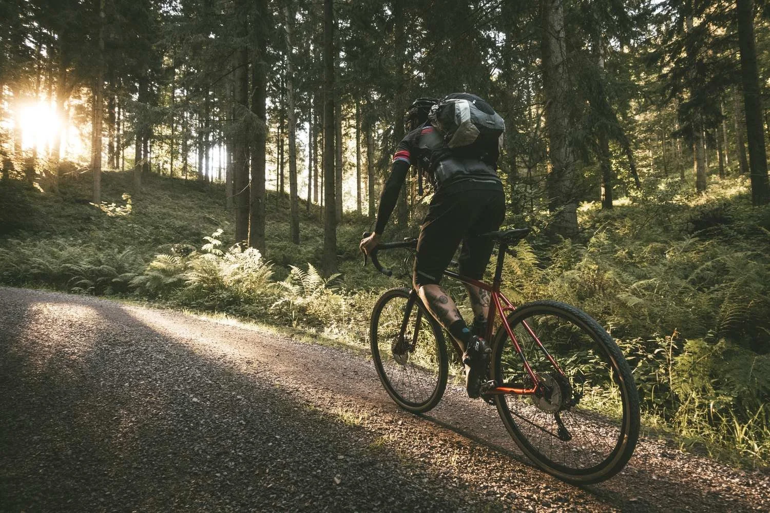 Gravelgenuss_im_Schwarzwald_tour_15.jpg