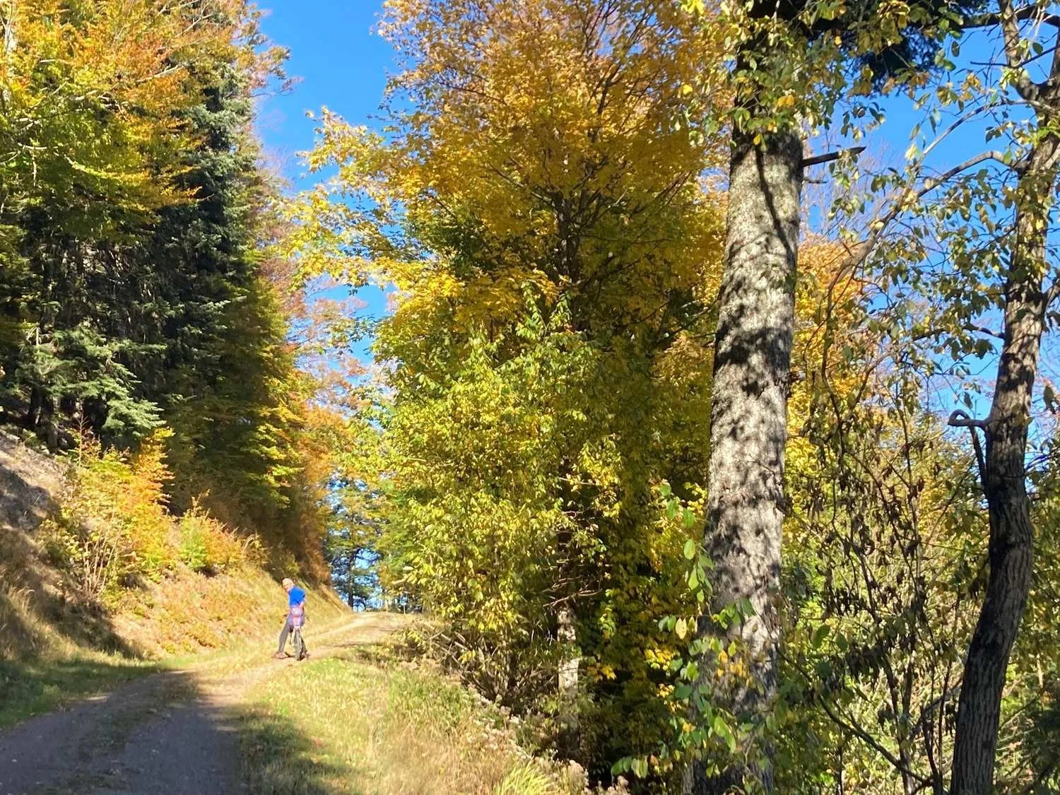 Gravelgenuss_im_Schwarzwald_tour_18.jpg