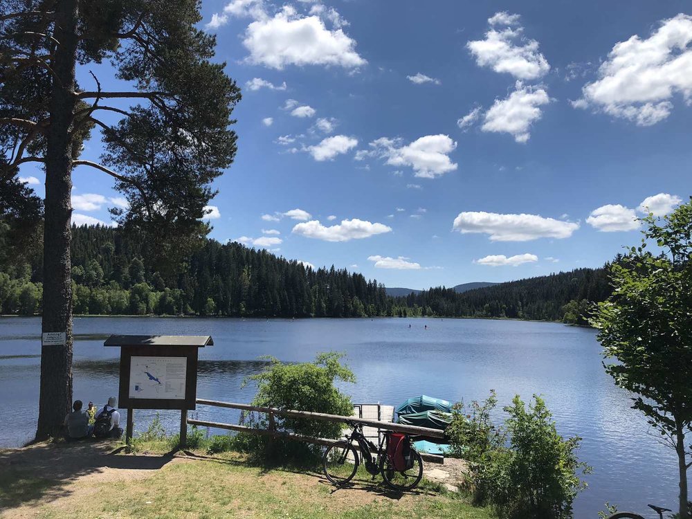 Bltenzauber__Frhlings-Graveln_im_Schwarzwald_tour_3.jpg