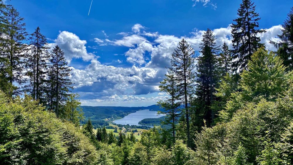 Bltenzauber__Frhlings-Graveln_im_Schwarzwald_tour_4.jpg