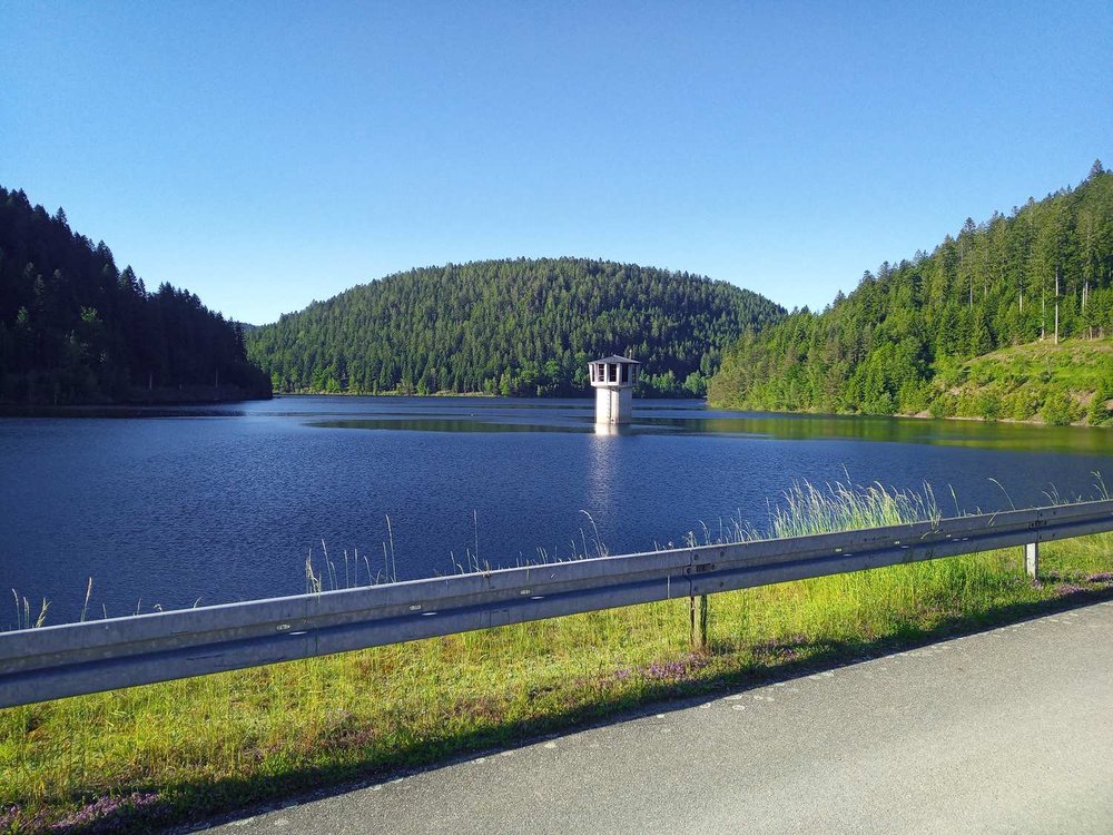 Bltenzauber__Frhlings-Graveln_im_Schwarzwald_tour_6.jpg