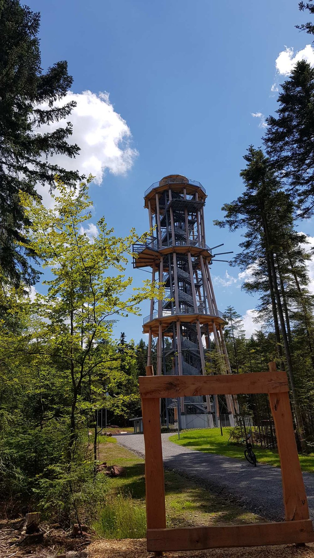 Bltenzauber__Frhlings-Graveln_im_Schwarzwald_tour_8.jpg