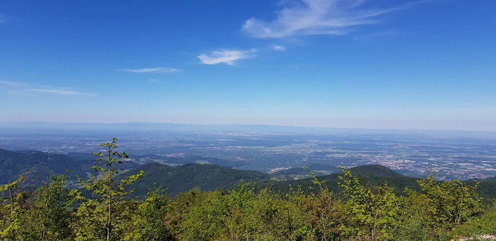 Bltenzauber__Frhlings-Graveln_im_Schwarzwald_tour_13.jpg