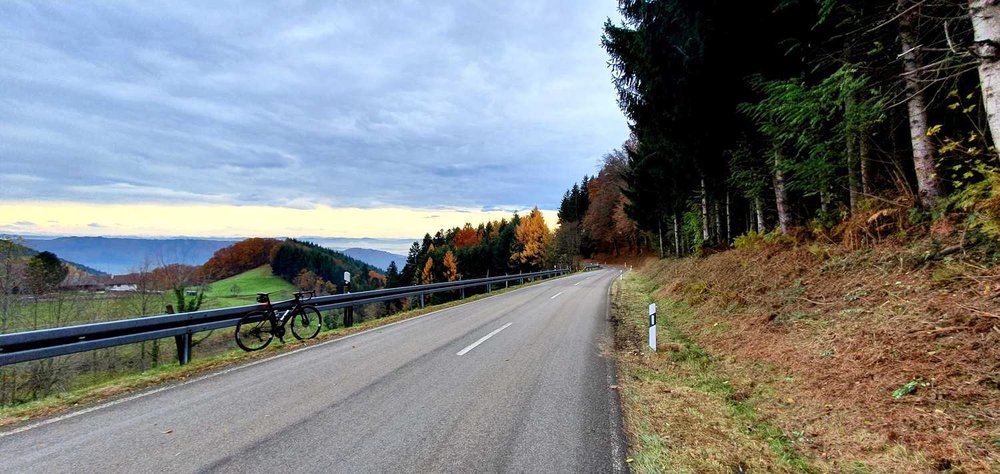 Bltenzauber__Frhlings-Graveln_im_Schwarzwald_tour_16.jpg