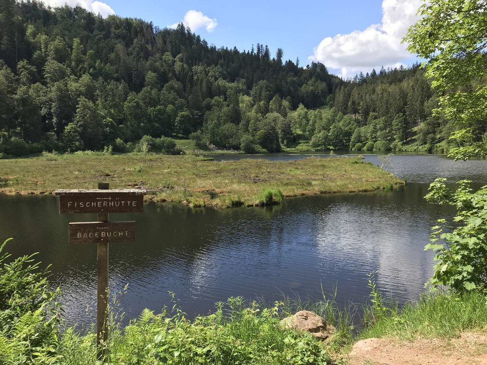 Bltenzauber__Frhlings-Graveln_im_Schwarzwald_tour_15.jpg