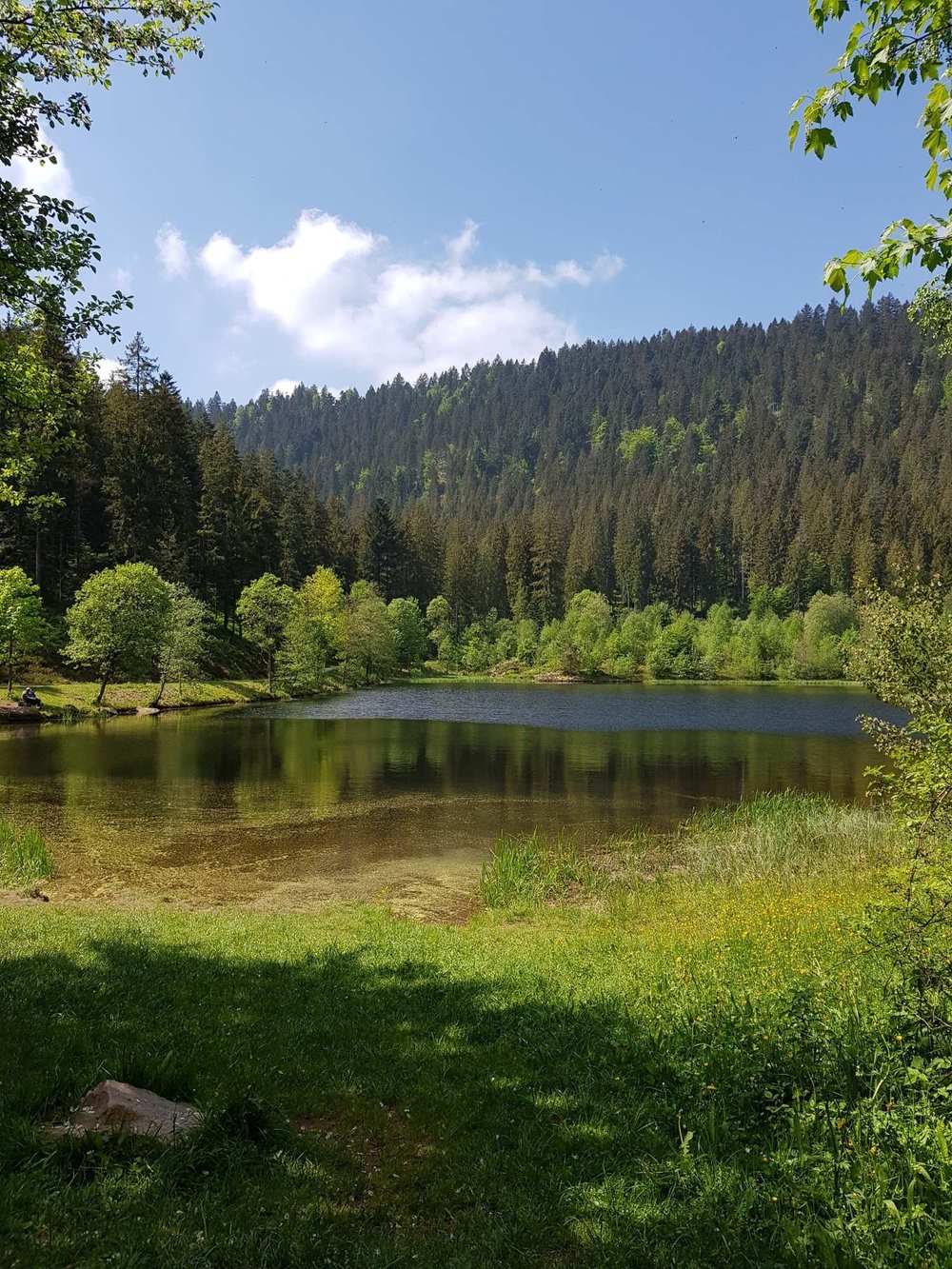 Bltenzauber__Frhlings-Graveln_im_Schwarzwald_tour_18.jpg