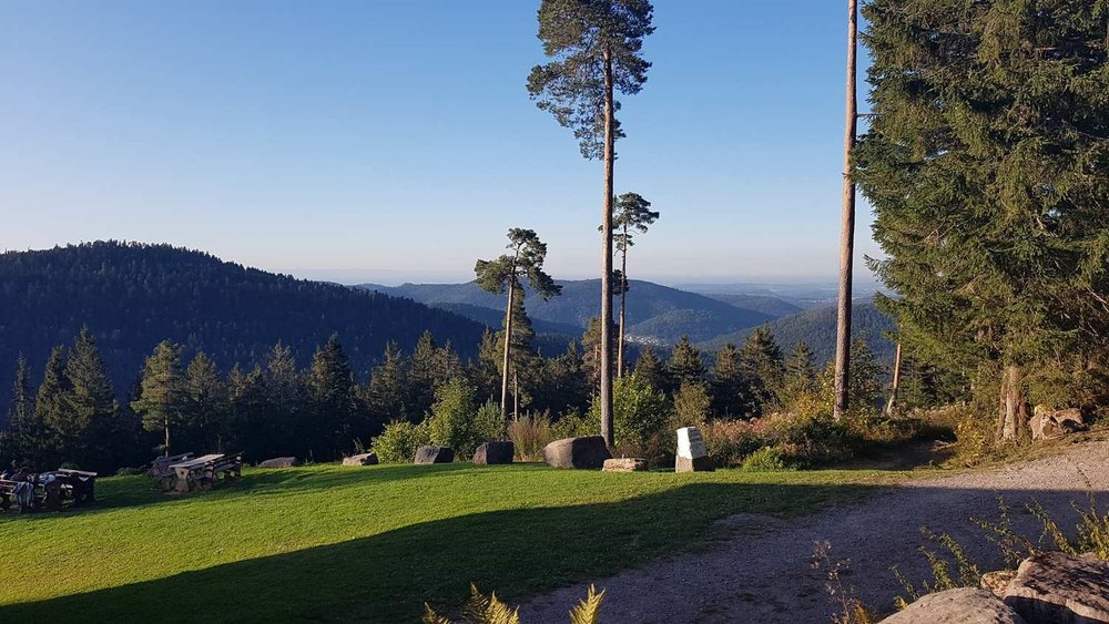 Bltenzauber__Frhlings-Graveln_im_Schwarzwald_tour_23.jpg