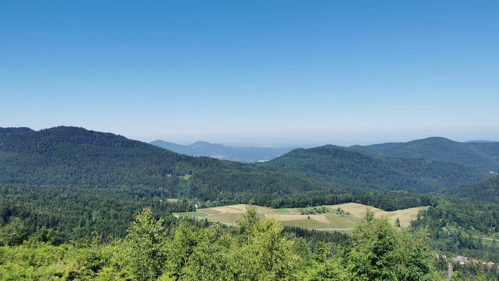 Bltenzauber__Frhlings-Graveln_im_Schwarzwald_tour_24.jpg