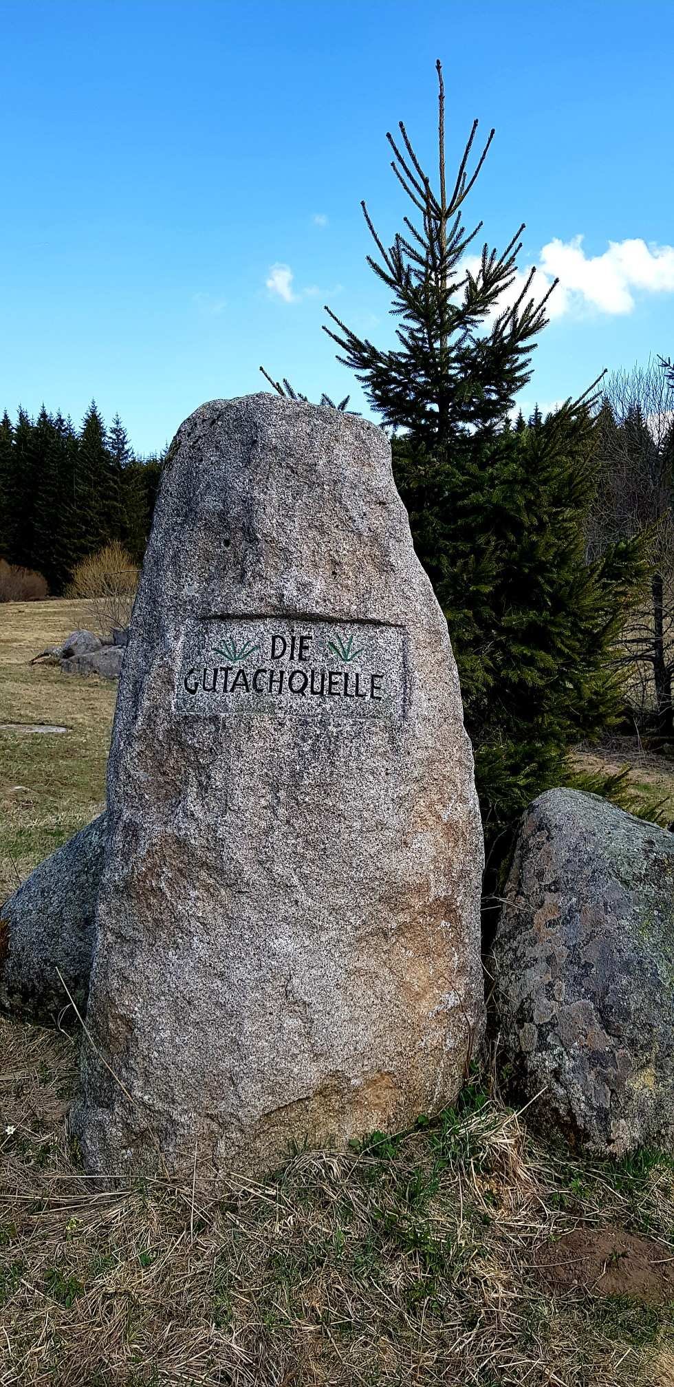 Bltenzauber__Frhlings-Graveln_im_Schwarzwald_tour_26.jpg