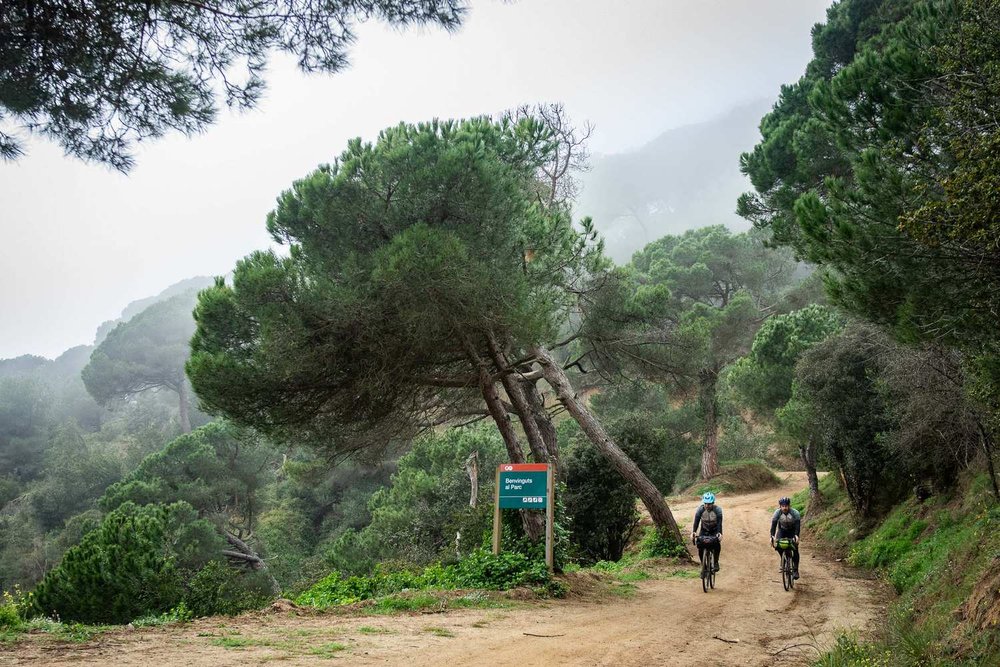 Per_Gravel_Bike_ins_Rennrad-Mekka_Von_Barcelona_nach_Girona_tour_4.jpg