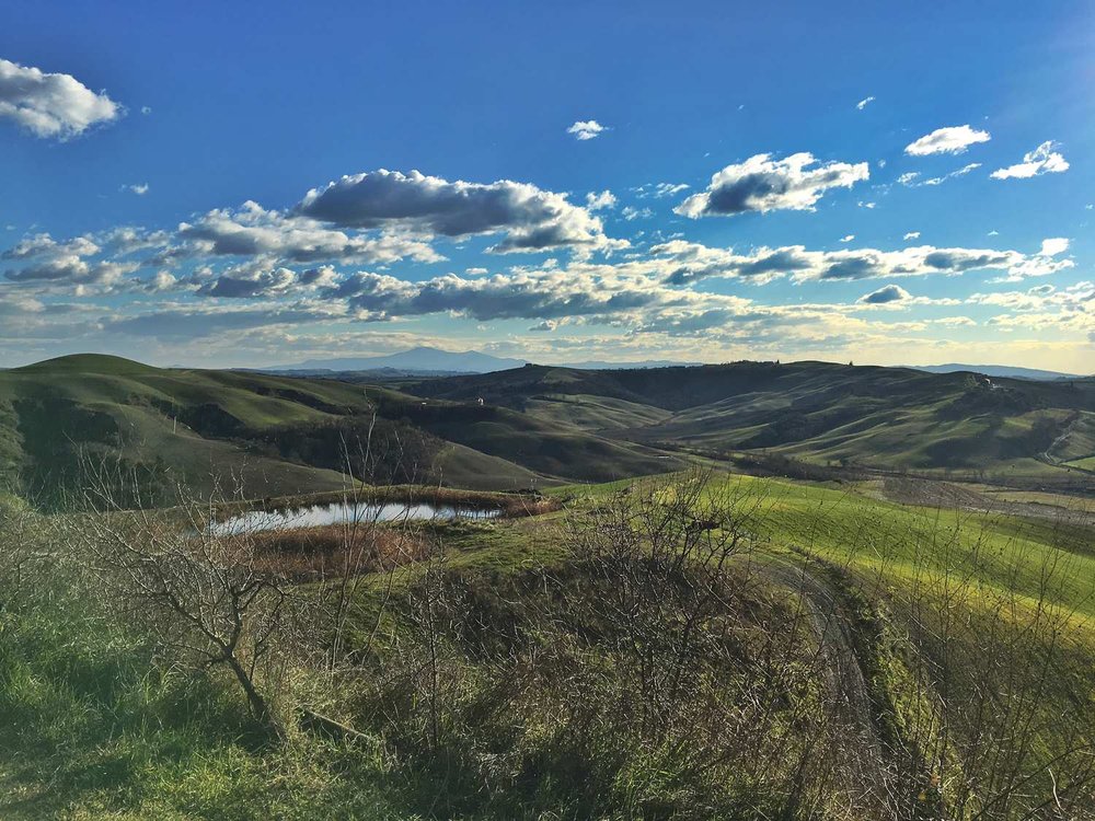 Sulle_sterrate_pi_iconiche_delle_colline_toscane__la_Strade_Bianche_tour_4.jpg