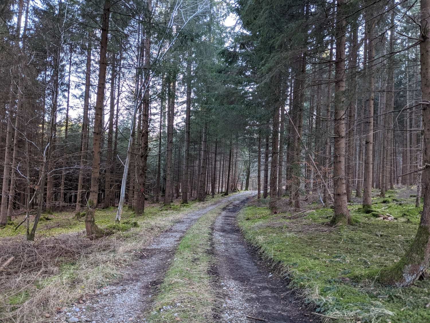 RideWundersam_GRVLMTB_Hrerinnen_Collection_tour_4.jpg