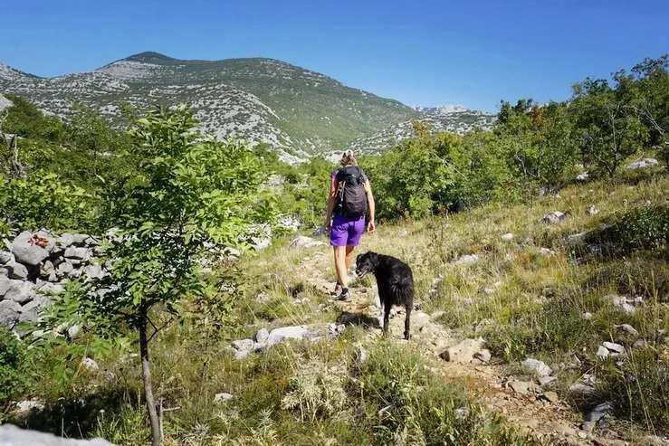 Kroatien_-_Radtouren_mit_Hundeanhnger__tour_14.jpg