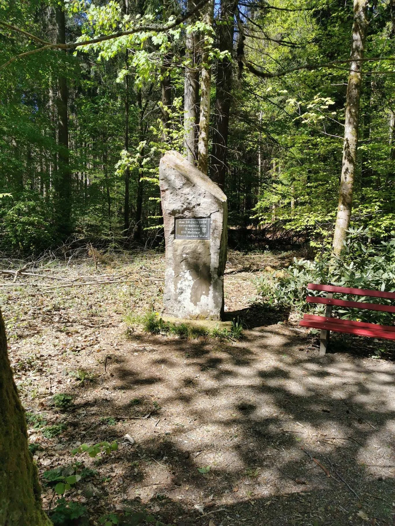 Dein_Gravel-Abenteuer__Schwarzwald-Radweg_tour_2.jpg