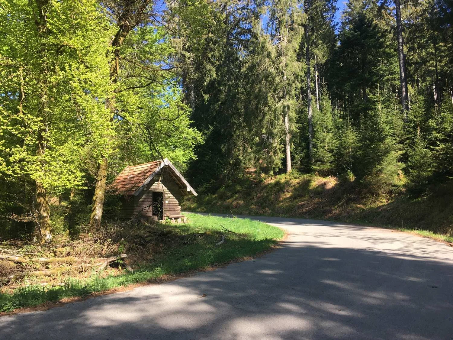 Dein_Gravel-Abenteuer__Schwarzwald-Radweg_tour_5.jpg