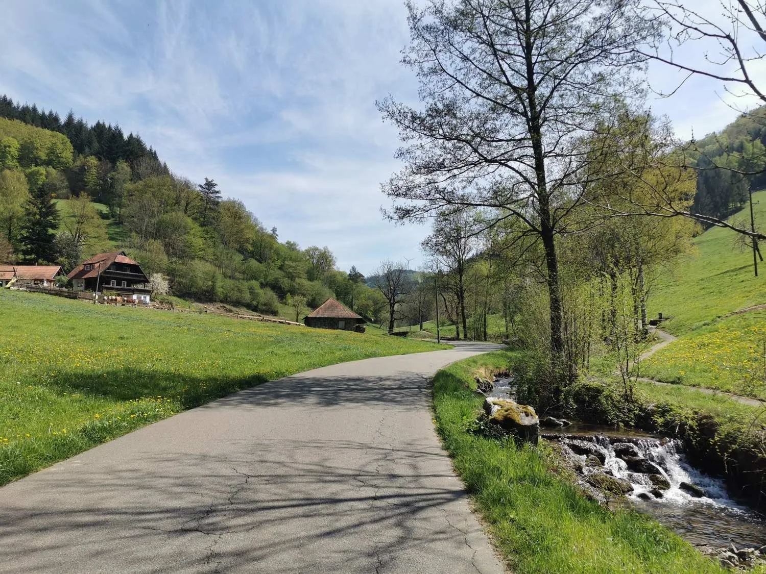 Dein_Gravel-Abenteuer__Schwarzwald-Radweg_tour_7.jpg