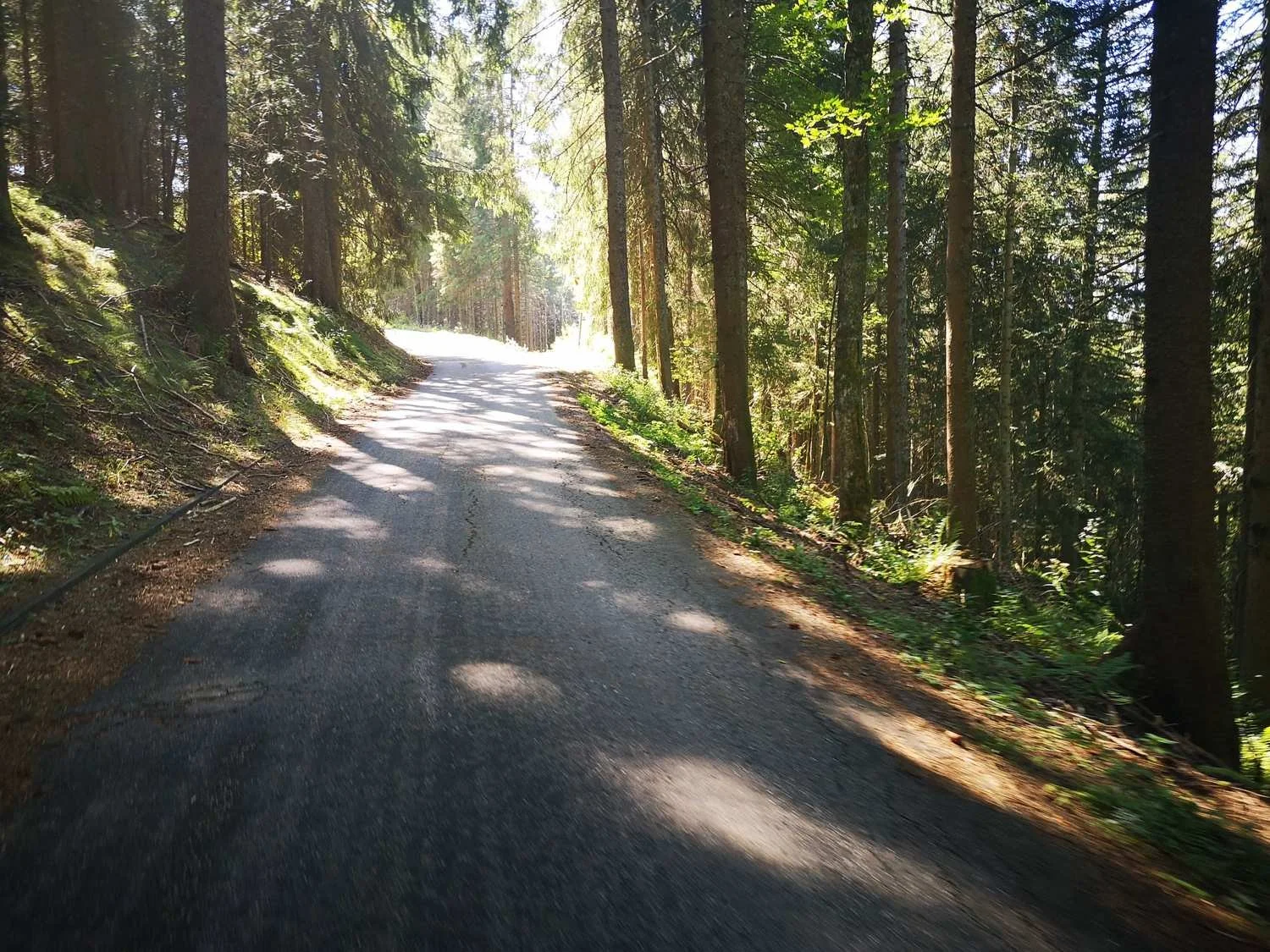 Dein_Gravel-Abenteuer__Schwarzwald-Radweg_tour_8.jpg